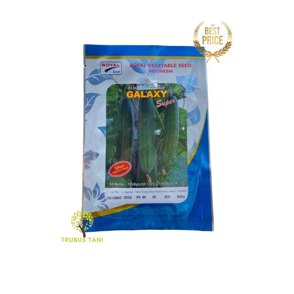 Timun GALAXY 800seed// Royal Seed