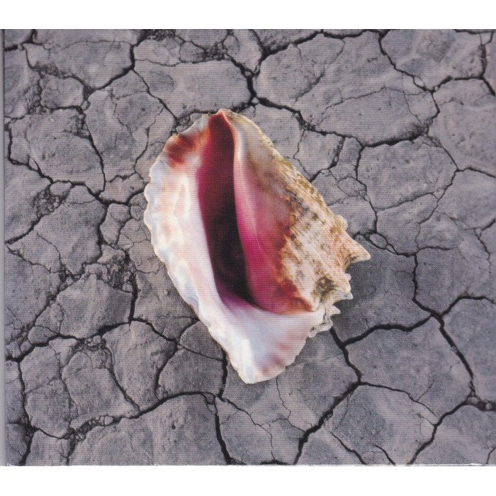 EEStore CD The Killers - Wonderful Wonderful