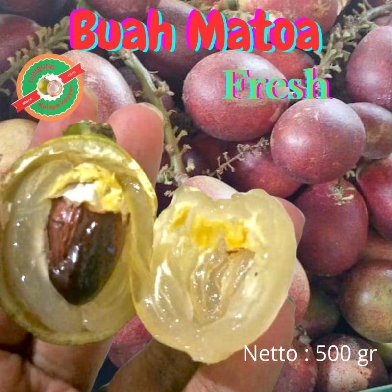 

Buah Matoa Fresh seribu Rasa / kemasan 500 gr