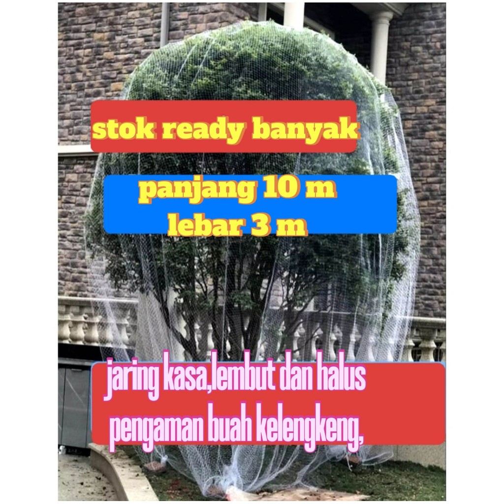 jaring kasa 10x3m,jaring pelindung buah kelengkeng di jamin aman dari hama kelelawar jaring pelindun