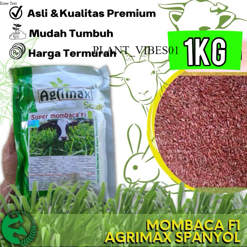 Benih super mombaca F1 1kg biji agrimax spanyol