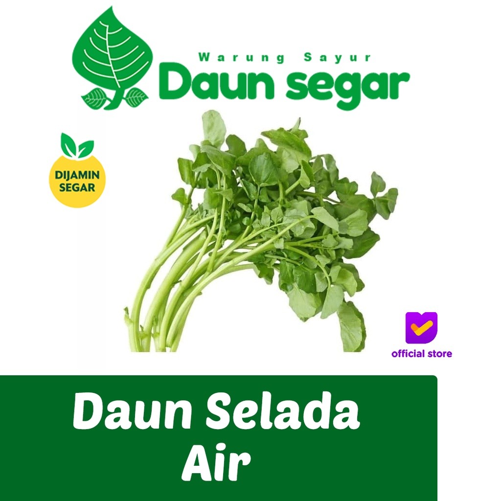 

Daun Selada Air Per ikat Fresh dan Besar