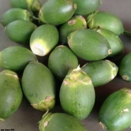 

Jambe Muda Atau Buah Pinang Muda Fres 500 Gram