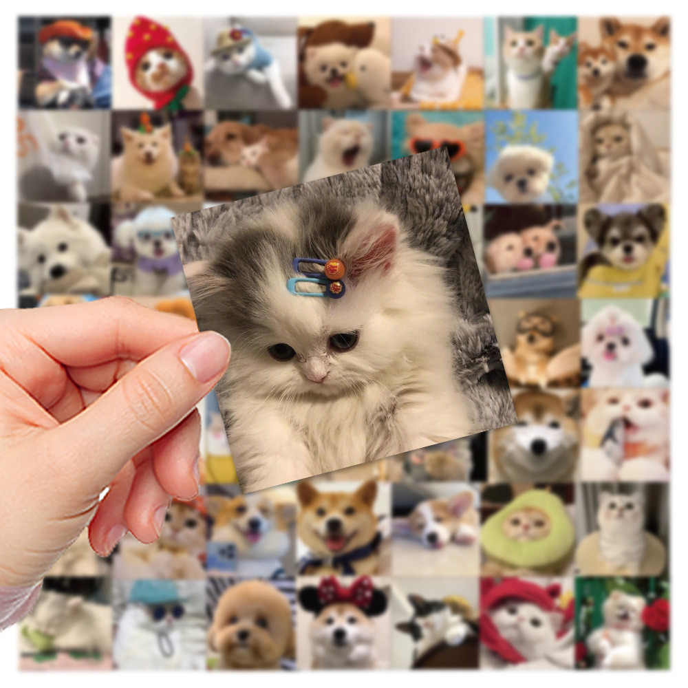 

10/30/52PCS Cute Dog Cat MEME Stickers PVC Waterpoof Decals DIY Laptop Phone Luggage Stationary Funny Animal Sticker Toys Gift