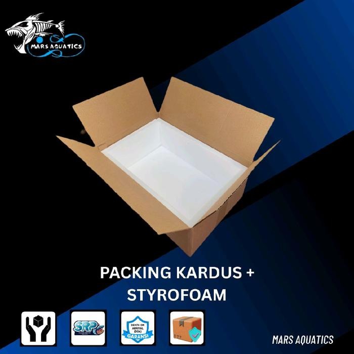 

Kardus Packing Plus Styrofoam Lembaran Extra Box Paxel Box Packing Box Kardus Styrofoam Packing Tambahan Untuk Aksesoris Dan Packing Ikan Hidup