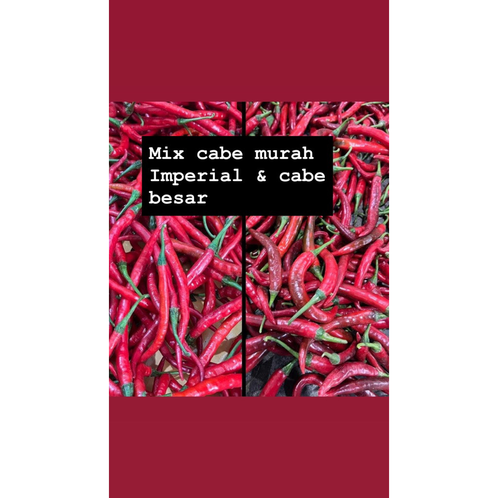 

Paket CABE KRITING KECIL TAMPAR 1kg)MAX CO 1kg (wajib baca deskripsi)