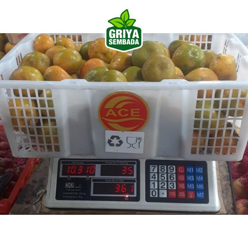 

Indukbuah Jeruk Medan Manis 1 Keranjang Krat/Dus Griya Sembada
