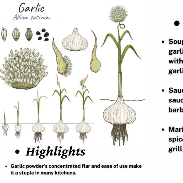 

Garlic Seasoning Powder Bubuk Rempah Bawang 70 Gr
