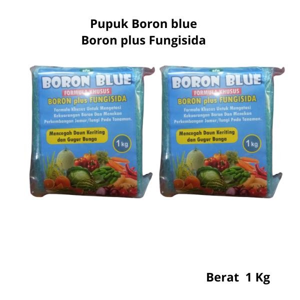 Pupuk Boron Blue Formula Khusus Boron Plus Fungisida Untuk Mengatasi Kekurangan Boron Dan Menekan Pe