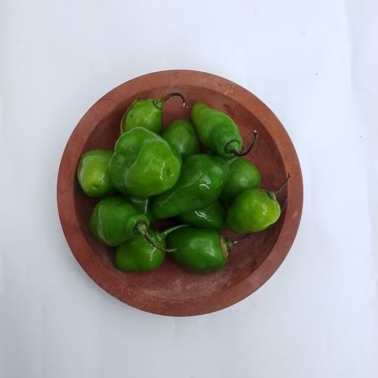 

TERLARIS sayur buah cabe gendot segar fresh