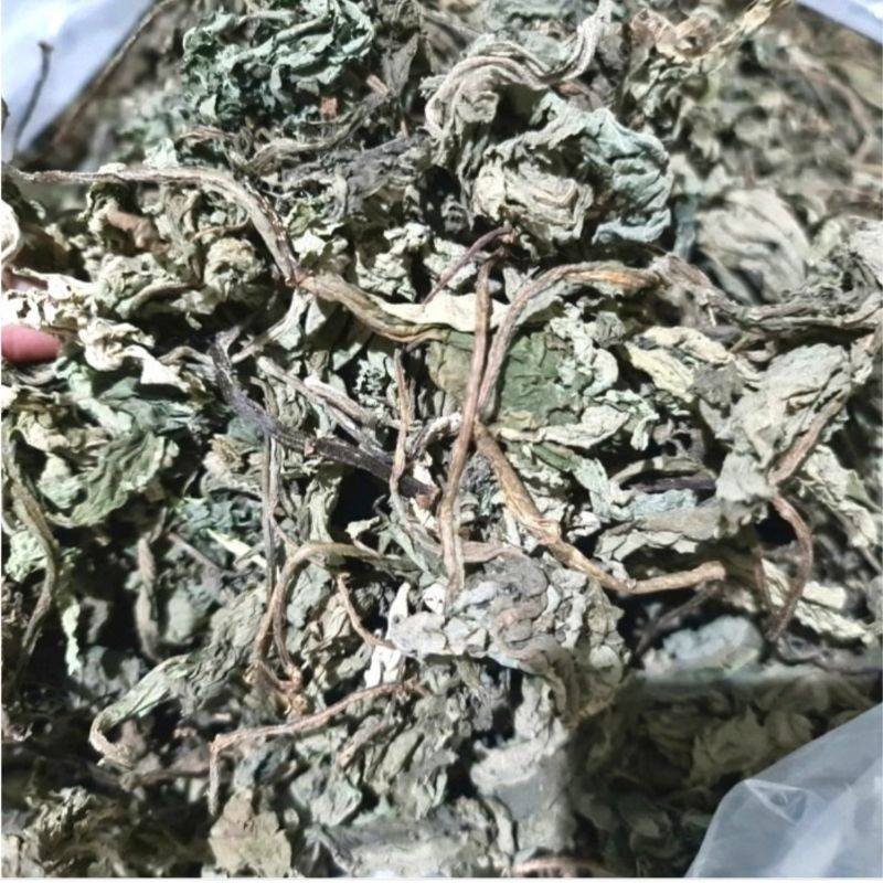 

Daun Insulin Kering Asli 100gr