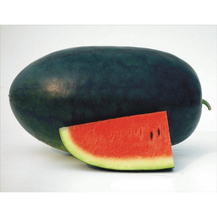 Benih Semangka Merah Lonjong  Semangka Redin 09 repack