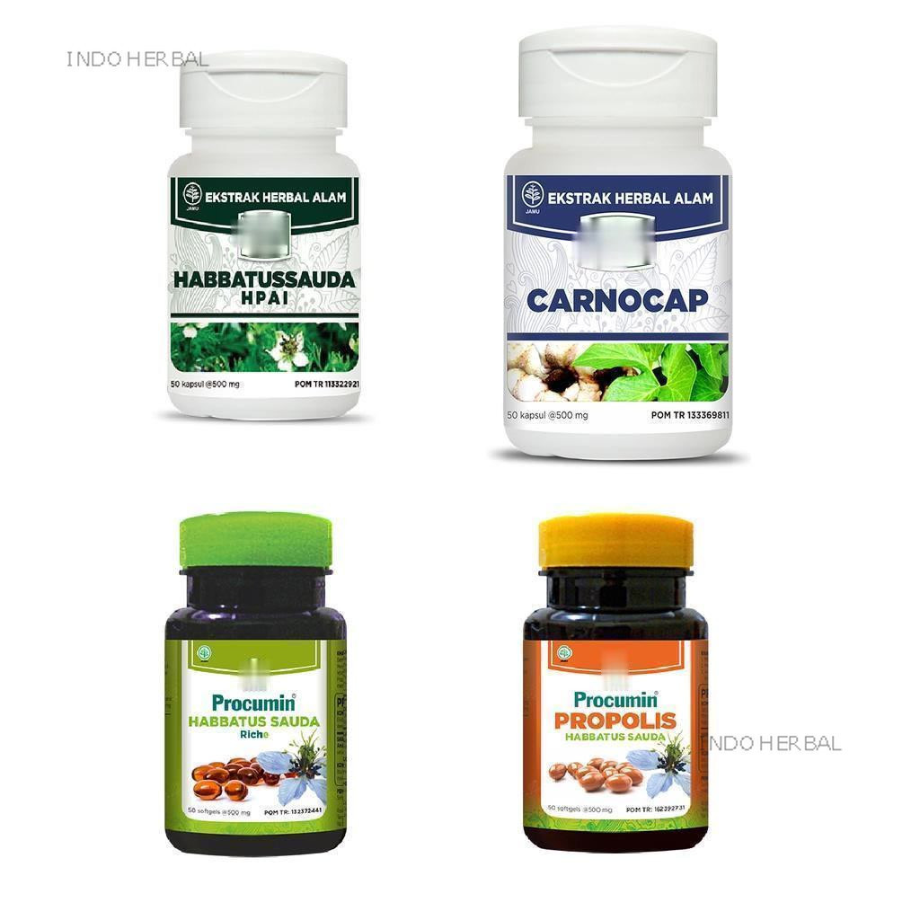 

HABBATUSSAUDA KAPSUL CARNOCAP PROCUMIN PROPOLIS PROCUMIN HABBATUSSAUDA RICH E - Original HAENI