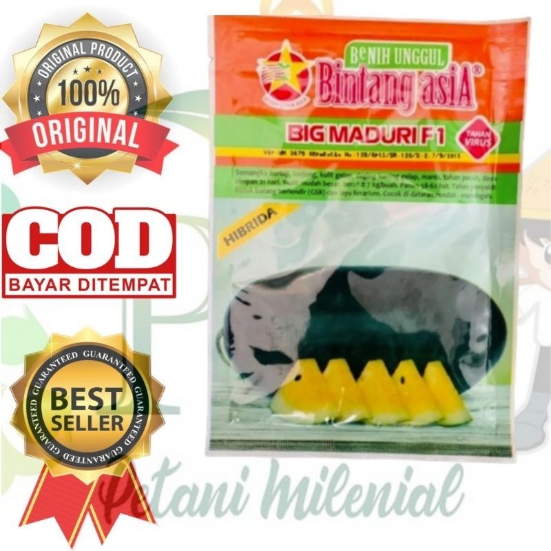 LM32W BIBIT BENIH SEMANGKA INUL BIG MADURI F1 - BIBIT SEMANGKA INUL KUNING TAHAN VIRUS BINTANG ASIA