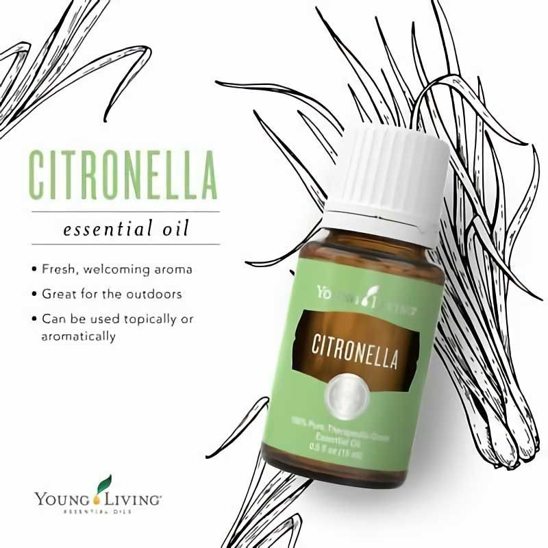 young living citronella essentials oil citronela 15ml yl citronella young living essentials oil orig