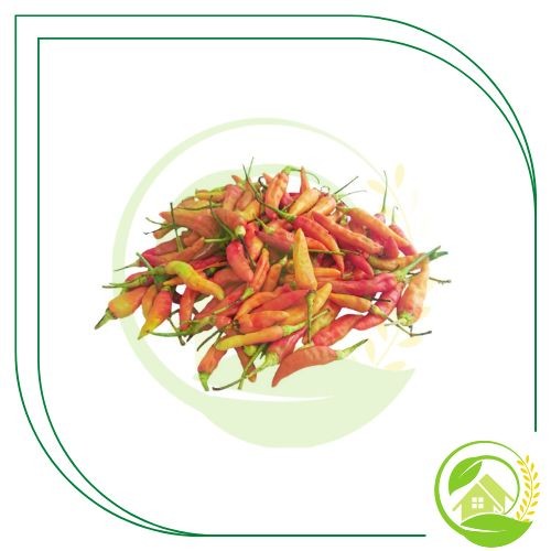 

Cabe Rawit Merah Segar 500gr