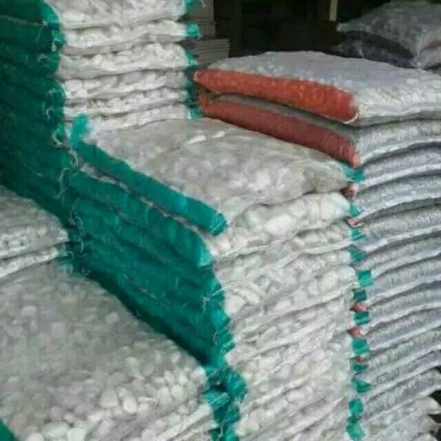 batu hias koral Kupang abu - Putih - pancawarna batu taman Terlaris