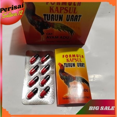 FORMULA TURUN URAT AYAM MENYEMBUHKAN AYAM PINCANG DAN  BENGKAK DI BAGIAN KAKI PINCANG AKIBAT BERTARU