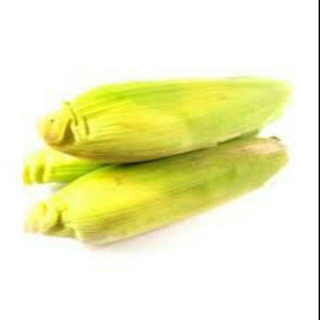 Jagung Manis Kulit - Jagung Sayur - Jasuke