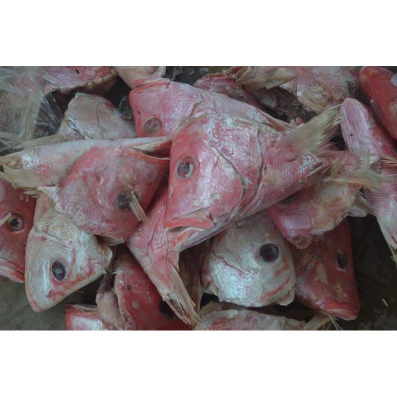 

Kepala Kakap Merah Segar