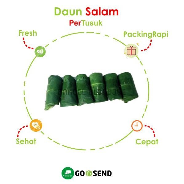 

DAUN SALAM PER PACK / BAY LEAF / FRESH VEGETABLES / VEGETABLE / SAYUR MURAH ONLINE SURABAYA