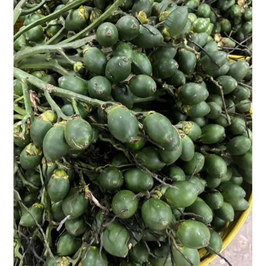 

pinang hijau segar isi 15 biji,jambe muda termurah