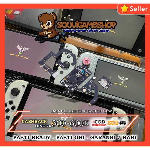 Jasa Pasang IC CFW Chip Pico Fly IC Nintendo Switch V1 V2 Lite Oled