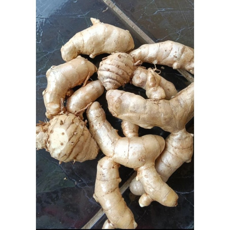 

Kunyit putih segar Alami . Organik herbal Asli , Herbal Alami 1000 grm