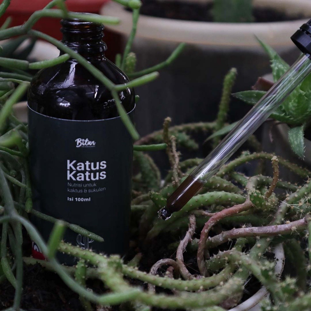 Liceriashop17 Pupuk Cair Sukulen 100Ml Kaktus Sukulen Sanseviera Bonsai Bagus Untuk Pertumbuhan