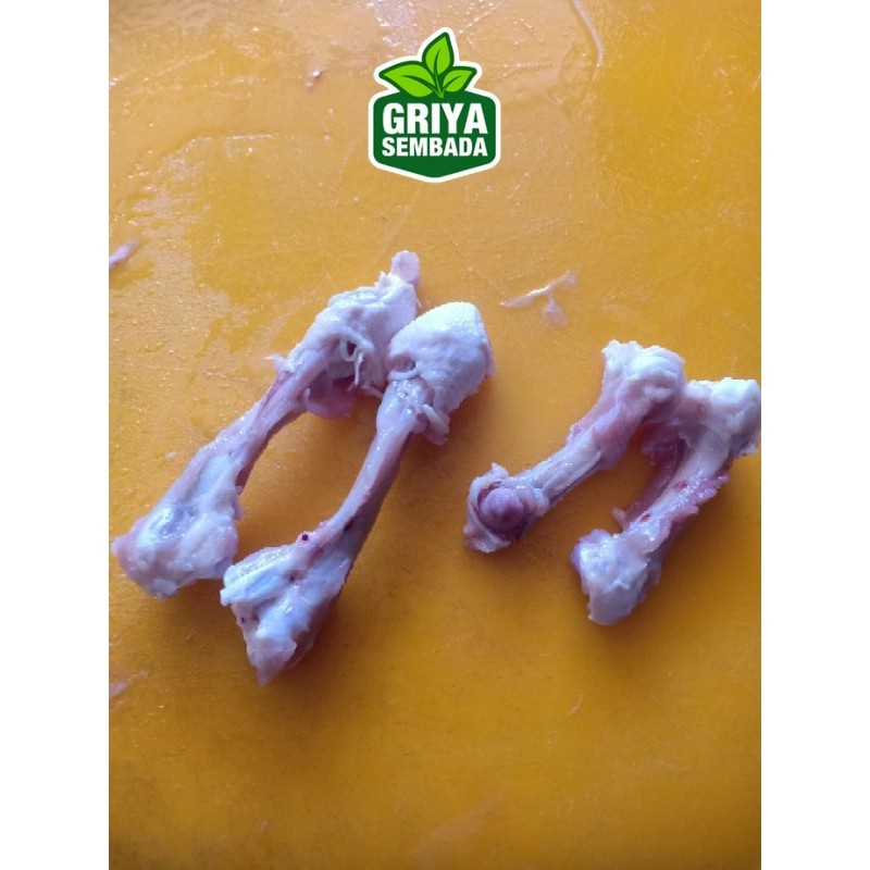 

Tulang paha / Tulang teklek Griya Sembada