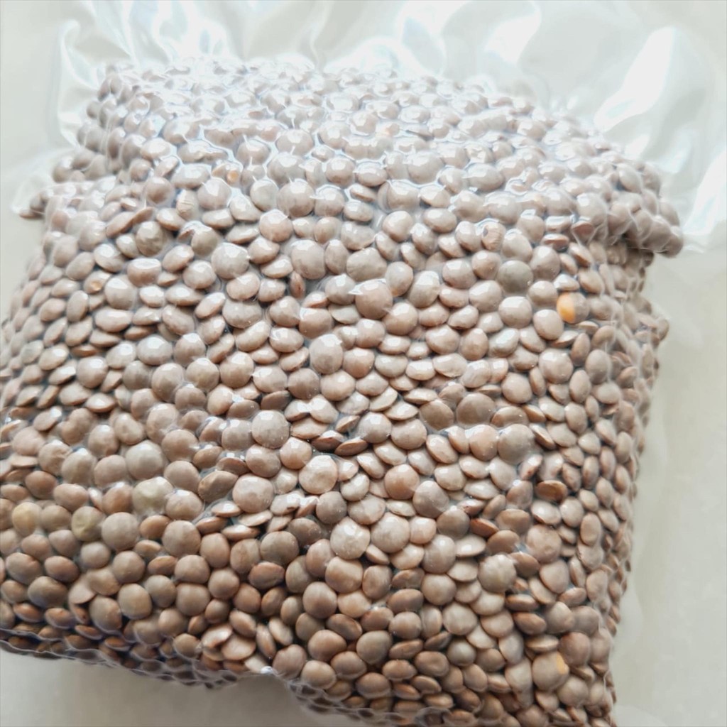 

Brown Lentil / Dal ( Kacang Lentil Cokelat untuk Sup & Masakan Vegetarian ) - 1KG