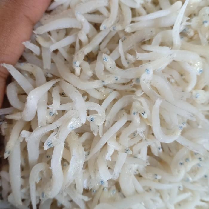 

teri Medan super per 500gram Terlaris