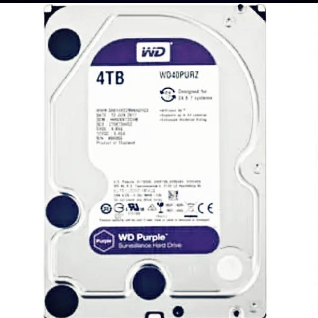 HARDDISK CCTV WD PURPLE 4TB RESMI