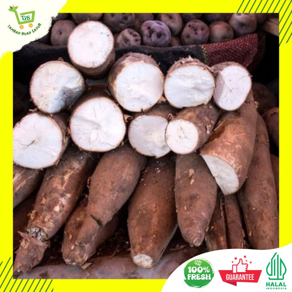 

SINGKONG 500 GR | tambah buah sayur