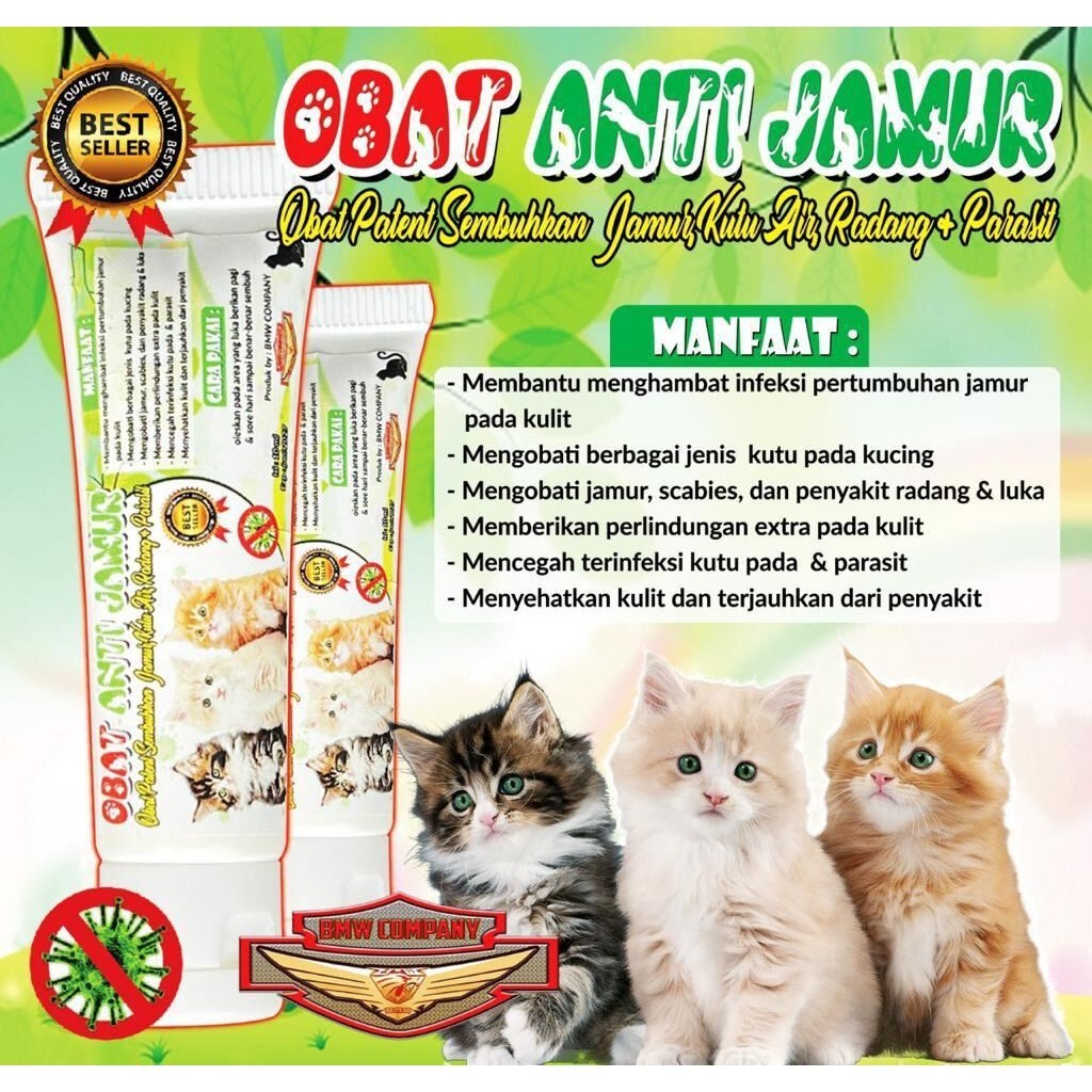 

Af'Al birdshop - OBAT JAMUR KUCING SALEP TUBE
