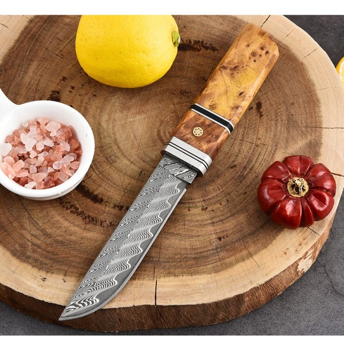 Pisau Damascus Fixed Blade Knife Tanto JT007