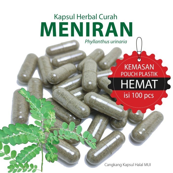 

MENIRAN 100 Kapsul Pengatur Sistem Imun, Batu Ginjal-Empedu, Hepatitis