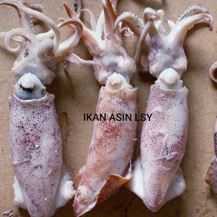 

cumi asin rebus / sotong rebus size jumbo 1kg