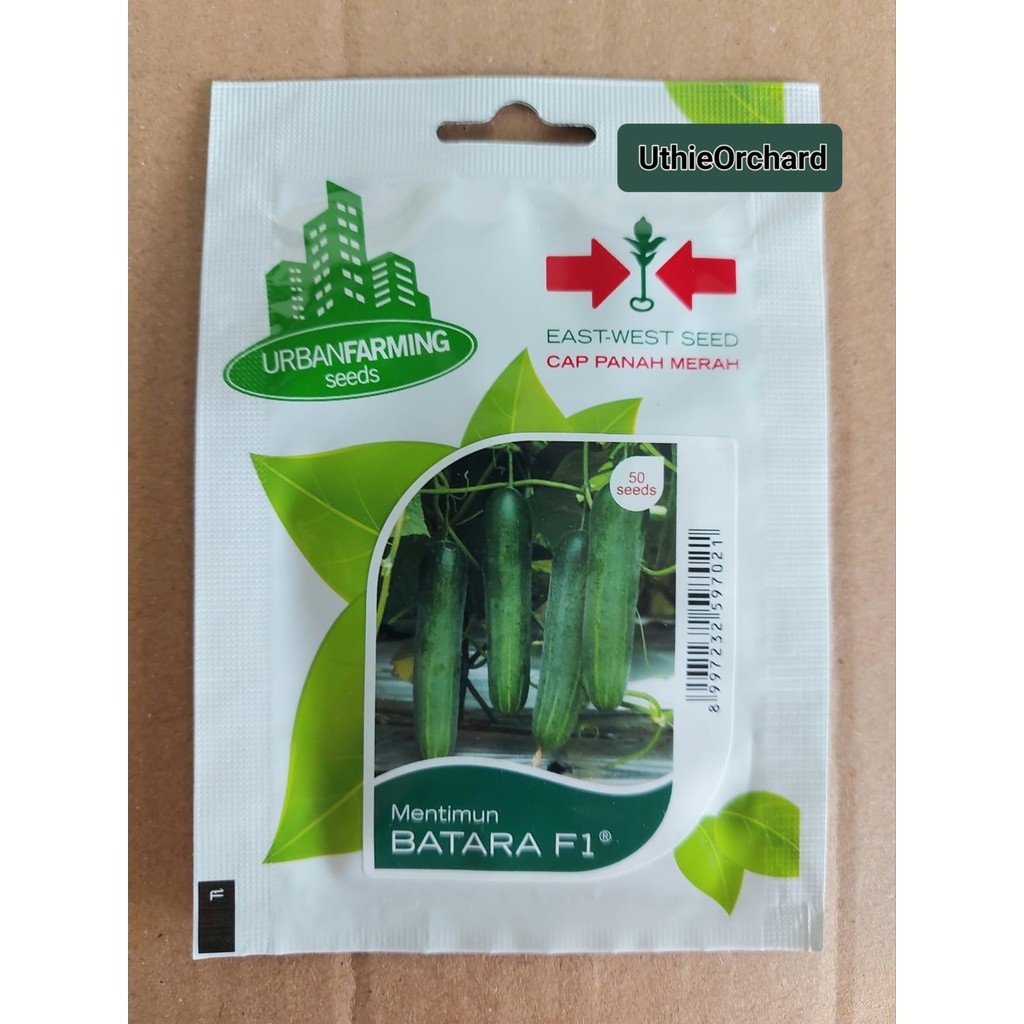 Benih Panah Merah – Timun Batara F1