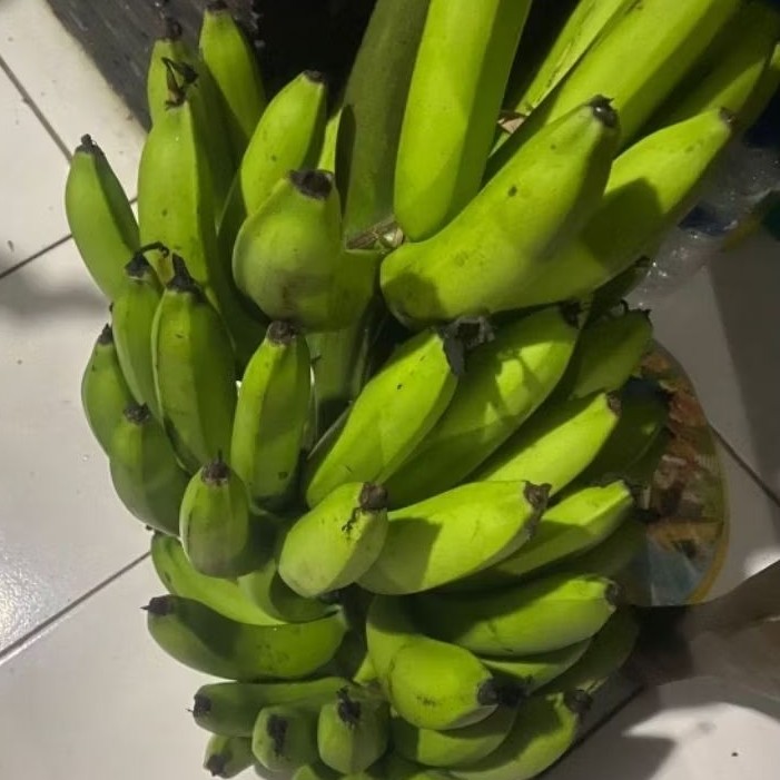 

Buah Pisang Mentah LNT Pisang Bangkaulu Fresh