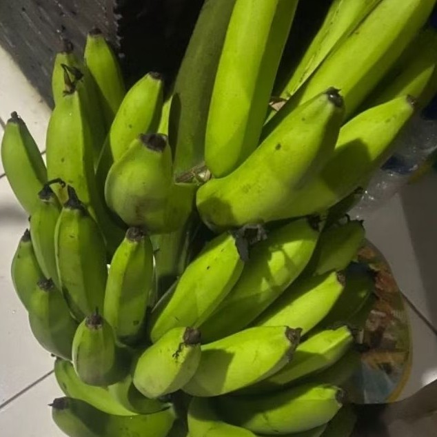 

Buah Pisang Mentah J ER FV Pisang Bangkaulu Fresh