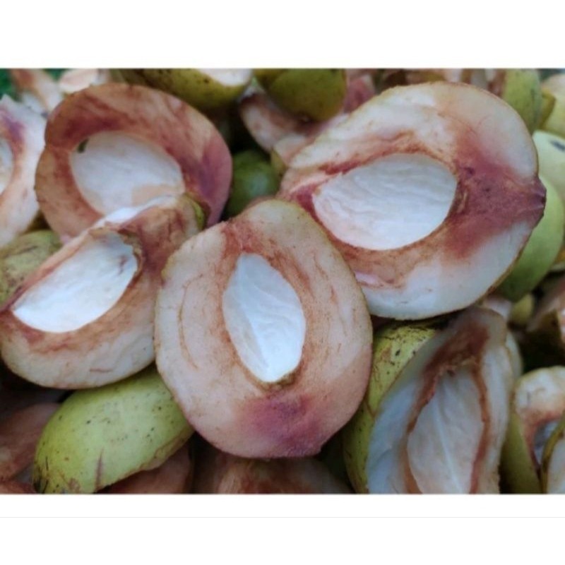 

daging buah pala segar buat manisan 1 kg Herbal COD