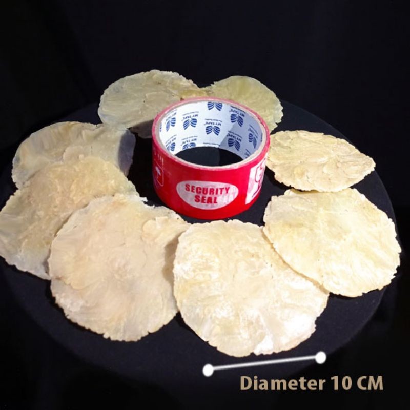 

EMPING BLINJO JUMBO MANIS ASLI KHAS LIMPUNG