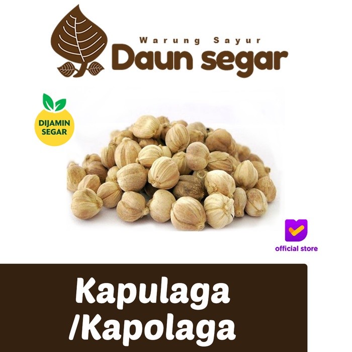 

Kapulaga / kapolaga Shaset