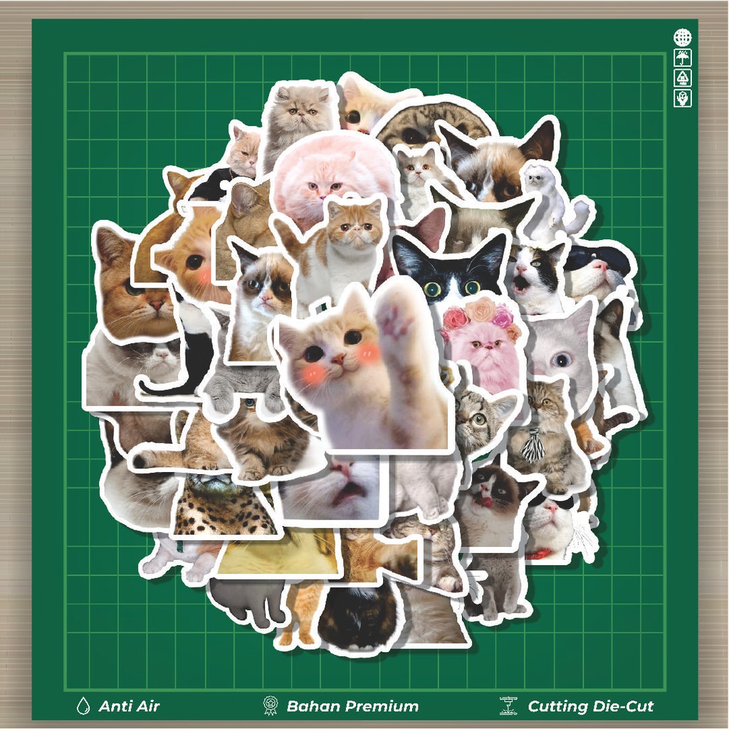 

HOT 50 PCS STIKER Stiker Funny Cats Emoji [Emoji Kucing Lucu] Stiker Fashion Cars Decal Dingin Kartu Album Custom Vinyl Anti Air- Sticker Aesthetic Buku Journal Koper Casing HP Tablet Laptop Helm Motor Botol Minum