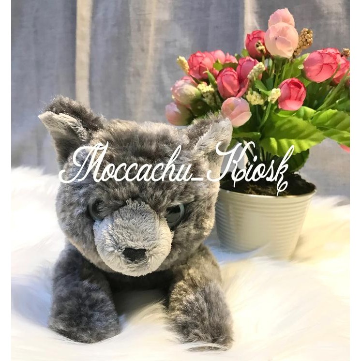 Terbaru Sunlemon Hiza Neko Russian Blue&Exotic Shorthair Cream/boneka kucing - Russian Blue