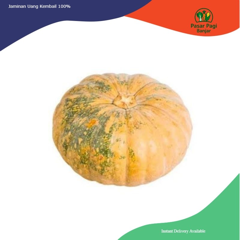 

Waluh / Labu Parang Besar Sedang Kecil / Labu Kuning