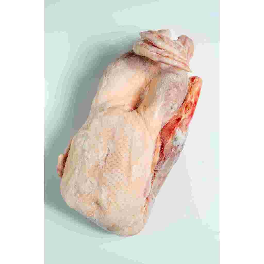 

Bebek ukuran 1,5kg frozen/bebek murah/bebek peking/daging bebek
