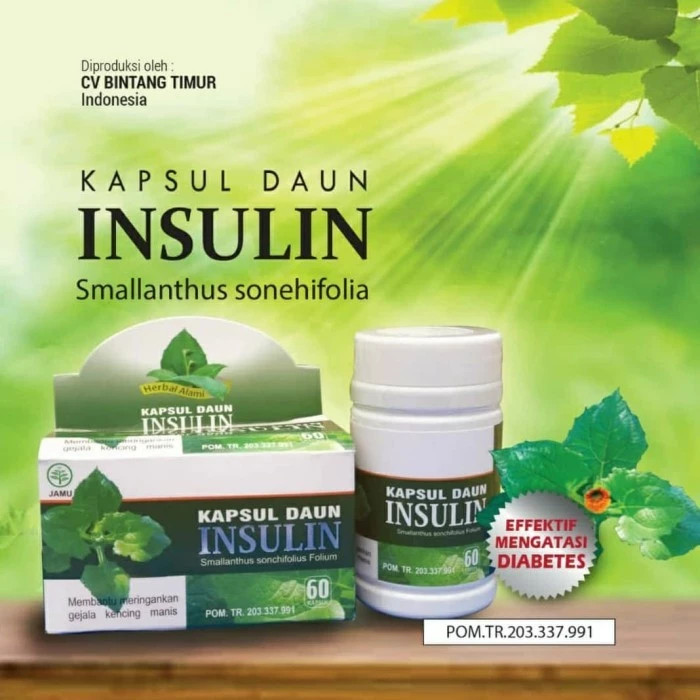 Kapsul Daun Insulin Obat Herbal Diabetes Kencing Manis Menahun By Wantong. id