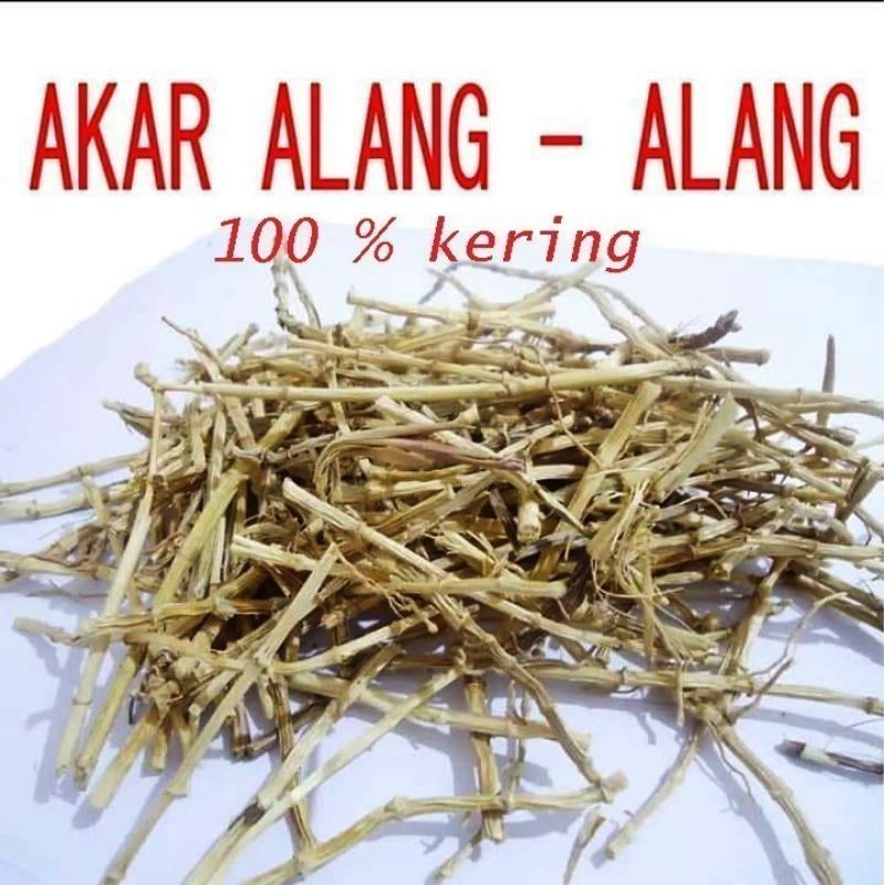 

Promo akar ALANG ALANG Kering 100gr Alang Ilalang Herbal Berkah_Alam_96